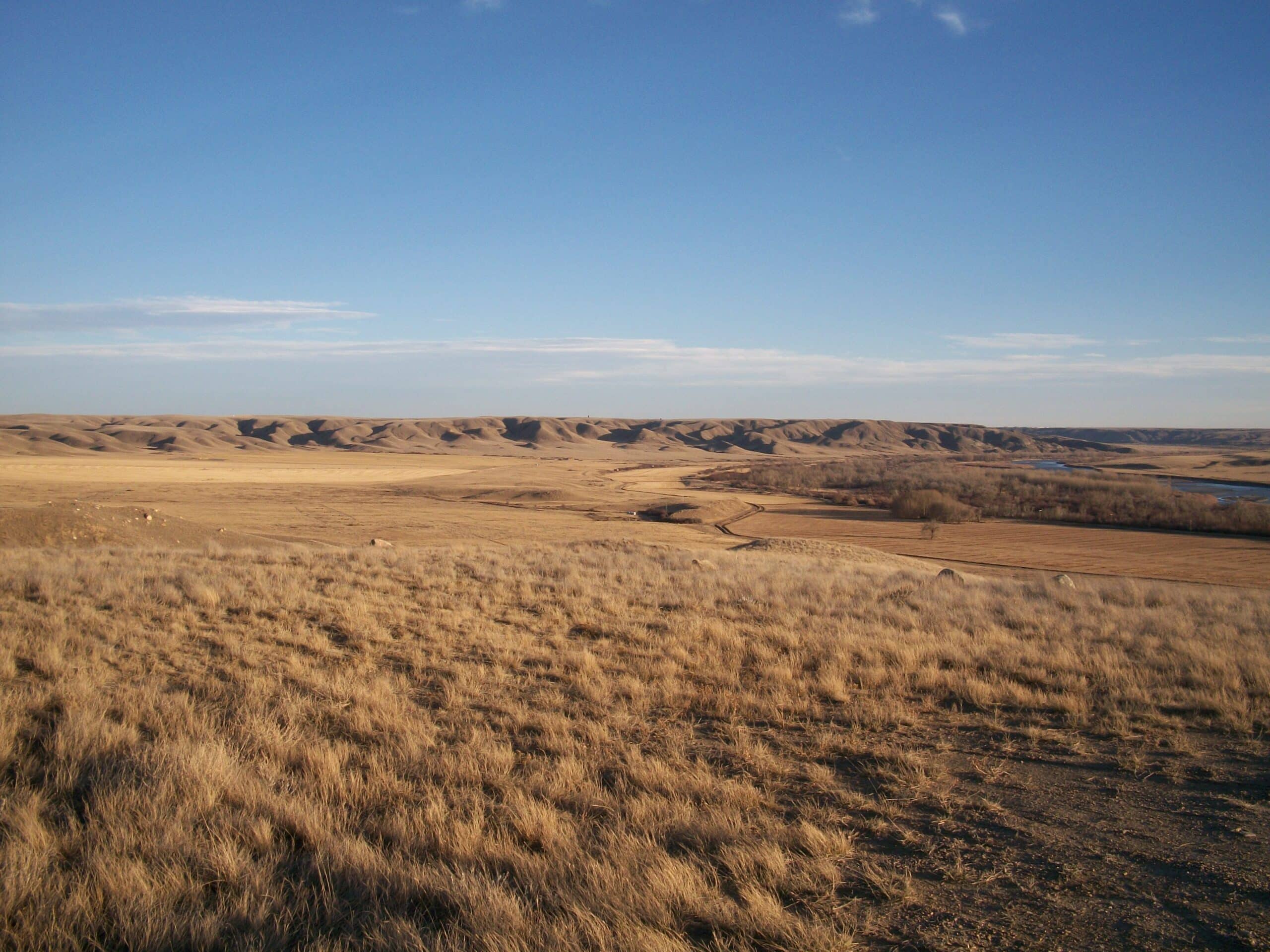 Site Reclamation