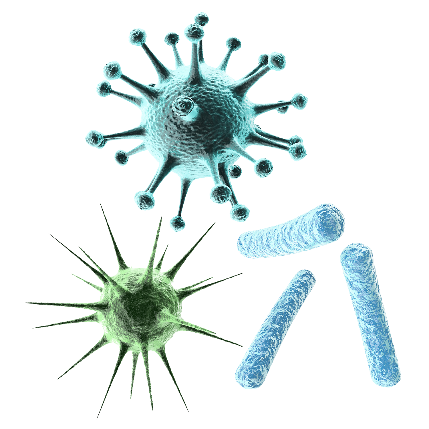 Bacteria 1